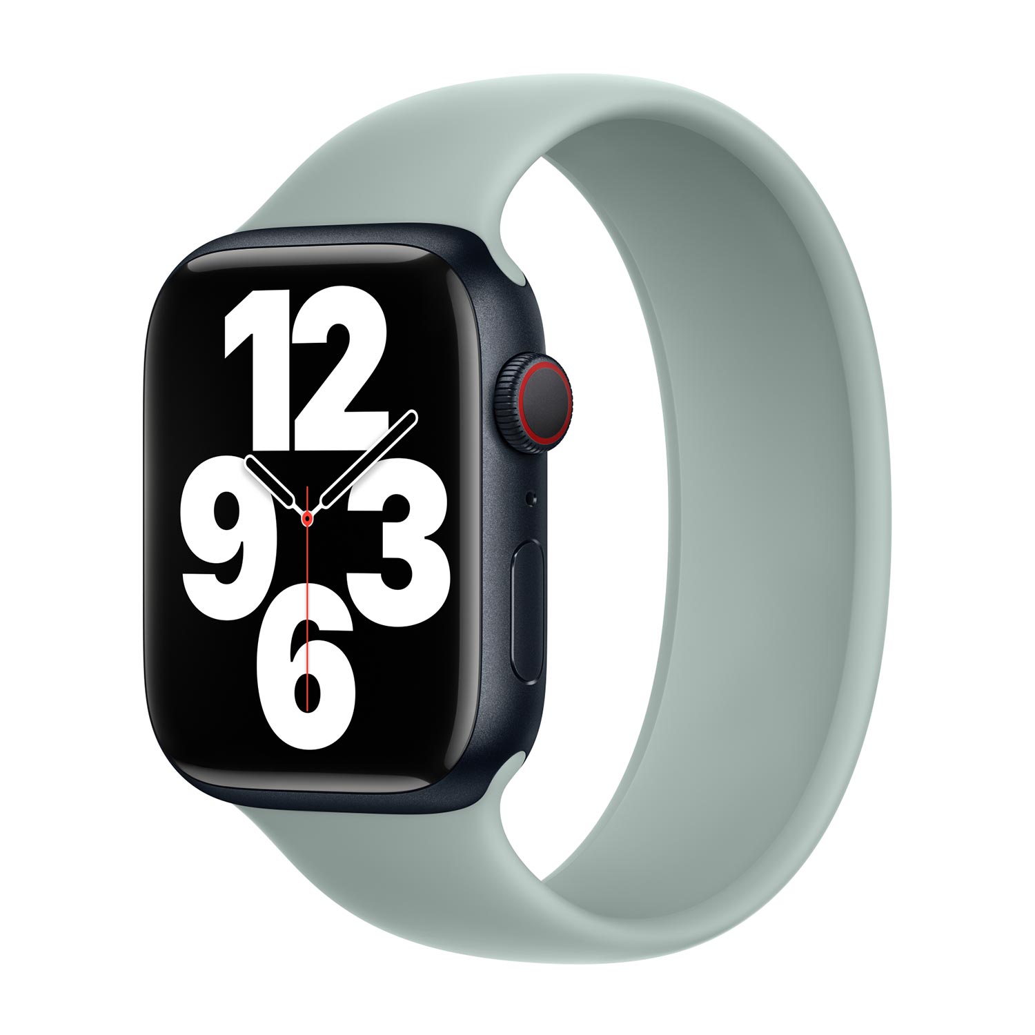 Bracelet Boucle unique en Silicone Apple Watch  38/40/41/42 mm - Taille 6 - Succulent