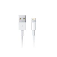 Apple Câble Lightning vers USB iPhone SE (2020) - 2 mètre