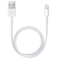 Apple Câble Lightning vers USB iPhone 12 - 50 cm