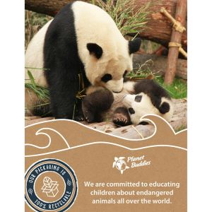 Planet Buddies ﻿Écouteurs pour enfants - Panda