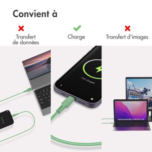 iMoshion ﻿Câble Lightning vers USB - Non MFi - Textile tressé - 2 mètre - Vert