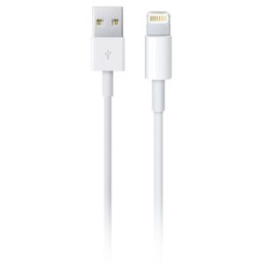 Apple Câble Lightning vers USB iPhone SE (2022) - 50 cm