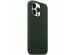 Apple Coque Leather MagSafe iPhone 13 Pro Max - Sequoia Green