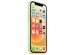 Apple Coque en silicone MagSafe iPhone 12 Pro Max - Pistachio