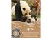 Planet Buddies Écouteurs sans fil pour enfants - Panda