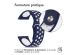 iMoshion Bracelet sportif en silicone - Connexion universelle de 20 mm - Bleu / Blanc