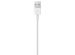 Apple Câble Lightning vers USB iPhone 5 / 5s - 50 cm
