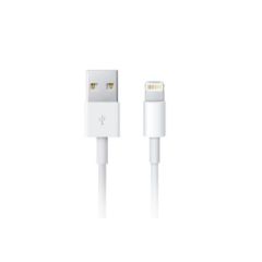 Apple Câble Lightning vers USB iPhone Xs - 2 mètre